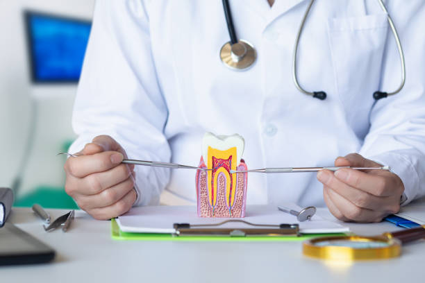 Best Emergency Orthodontic Repairs in South Les, AK